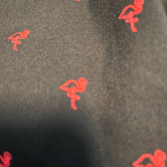 Mosmann Australia swim - Picture 4 of 4